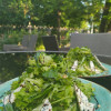 Зеленый салат Дача